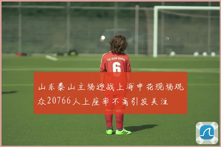 山东泰山主场迎战上海申花现场观众20766人上座率不高引发关注