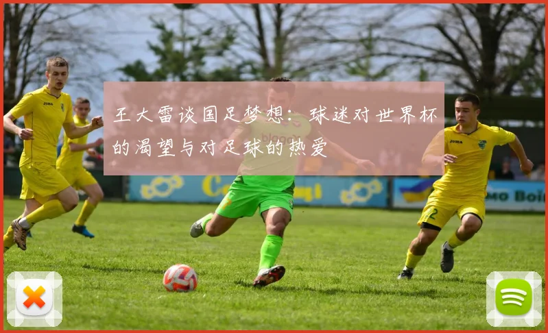 王大雷谈国足梦想：球迷对世界杯的渴望与对足球的热爱